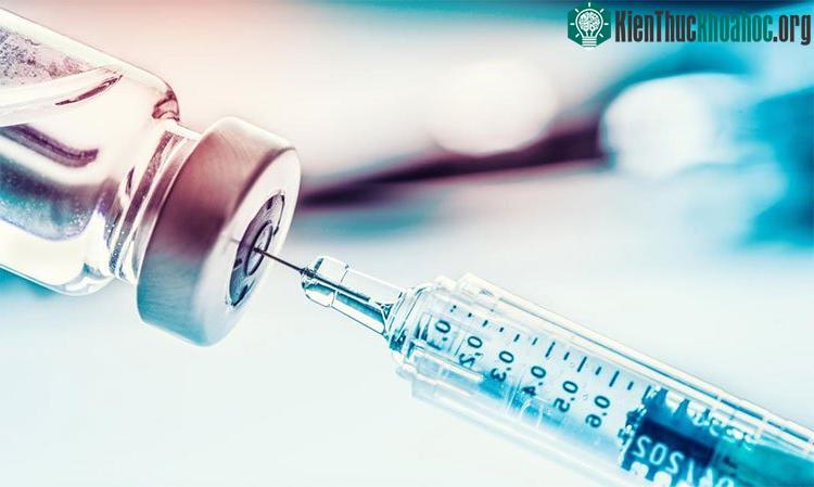 Ký sinh trùng là một dạng sống phức tạp, vậy nên sẽ rất khó để có một loại vaccine hiệu quả cho từng loại bệnh mà chúng gây ra.