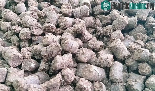 Phân bón hữu cơ vi sinh dạng viên.