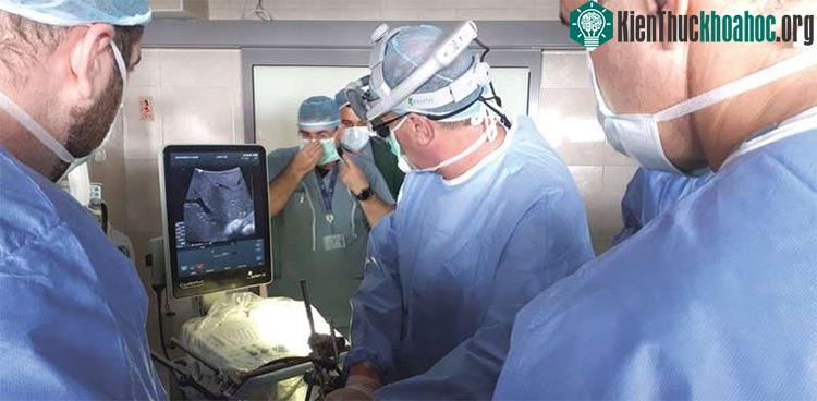 Các bác sĩ thực hiện đóng băng tế bào ung thư trong quá trình thử nghiệm.