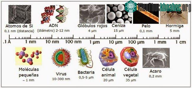 Kích thước một số vật thể siêu nhỏ