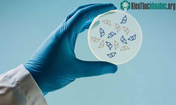 Phụ nữ trải qua cơn giận dữ cũng thường xuyên và dữ dội không khác gì cánh mày râu. (Ảnh minh họa).