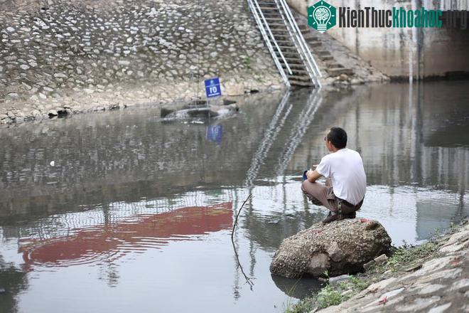 Nhìn màu sắc nước sông thì khó phân biệt, nhưng cảm nhận sông bớt hôi thối hơn hẳn