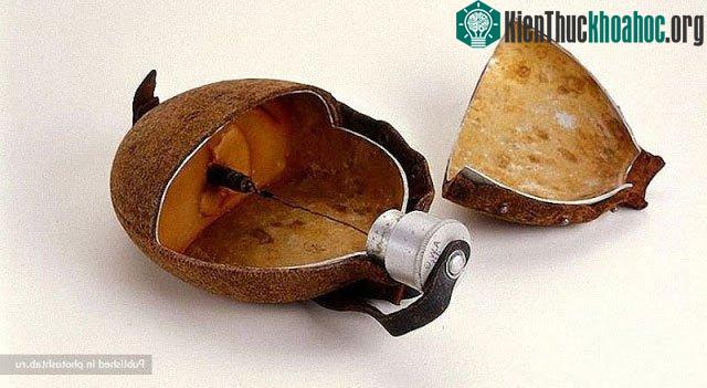 Những vũ khí cực lợi hại được "phủ" lớp vỏ đẹp mĩ miều ảnh 12