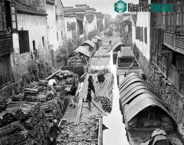 Quảng cảnh thuyền bè chở gỗ tấp nập tại sông Đại Vận Hàng Châu.