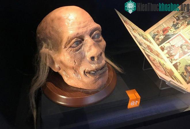 Cái đầu thật của Bentham vẫn được công khai tại phòng trưng bày của trường Cao đẳng London.