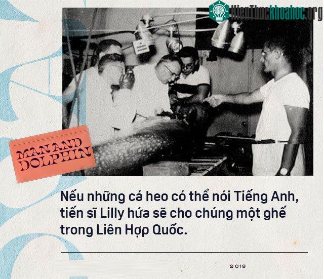 Năm 1965, một cô gái dạy cá heo nói Tiếng Anh, cuối cùng con cá đã yêu cô ấy điên cuồng ảnh 5