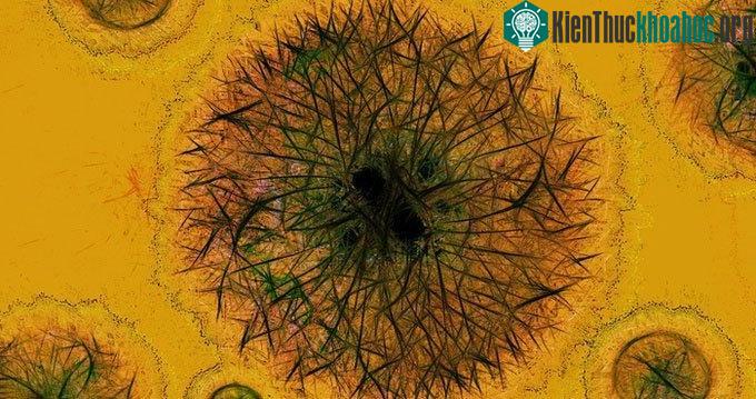 Thuốc kháng virus