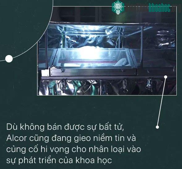 Khi cái chết chưa phải là kết thúc, một bé gái 2 tuổi đang chờ được hồi sinh ảnh 6