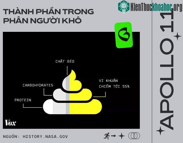 Thành phần trong phân người khô