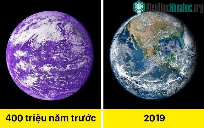 Màu của Trái đất