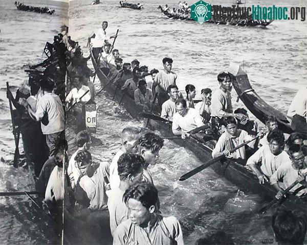 Lễ hội đua thuyền ở Nam Bộ.