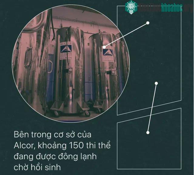 Khi cái chết chưa phải là kết thúc, một bé gái 2 tuổi đang chờ được hồi sinh ảnh 8