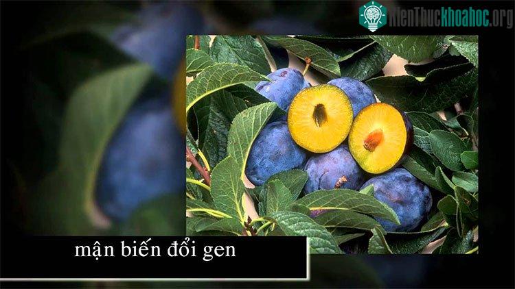 Công nghệ gene là gì? ảnh 0