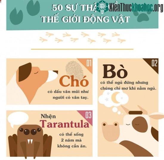 Những sự thật khiến bạn phải đau khổ vì chẳng biết gì về thế giới động vật