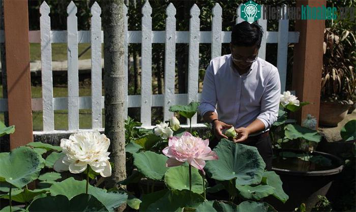 Anh Đặng Hiệp Hoàng trong vườn sen giống trăm cánh