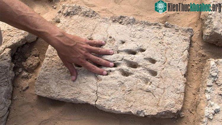 Dấu vân tay trên những viên gạch tại UAE.