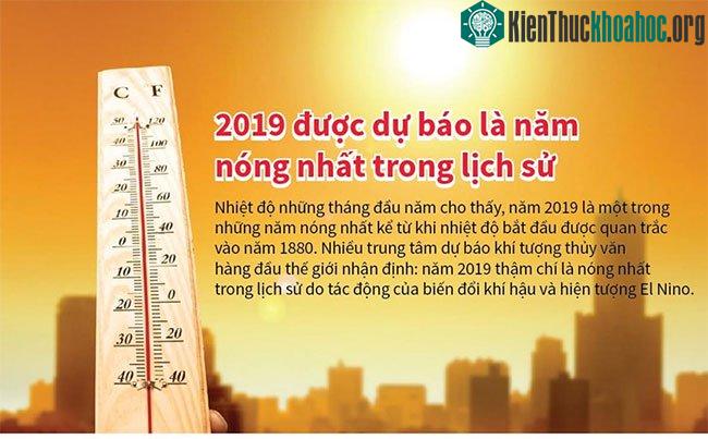 2019 được dự báo là năm nóng nhất trong lịch sử ảnh 0