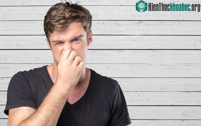 Việc mất cảm giác về mùi làm gia tăng đáng kể khả năng tử vong. (Ảnh minh họa).