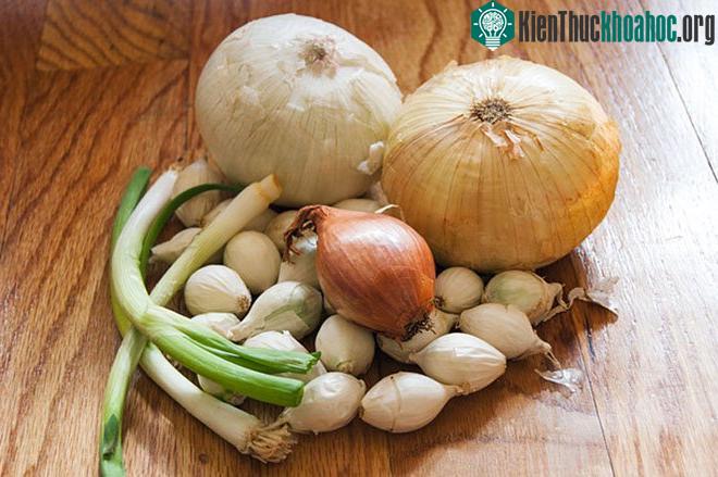 Tại sao ăn nhiều hành, tỏi dễ bị hôi nách? ảnh 0