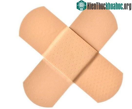 Miếng dán chứa vi khuẩn gram âm Bdellovibrio có thể kiềm chế sự phát triển của các vi sinh vật khác.