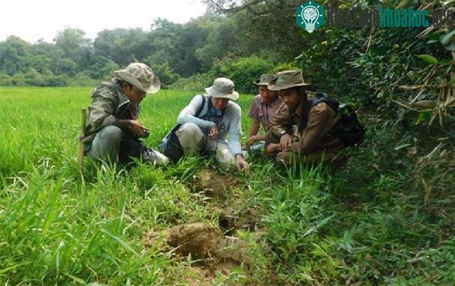 Các nhà khoa học kiểm tra vết chân voi.