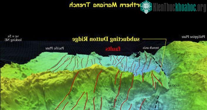 Bản đồ rãnh Mariana