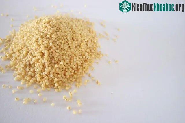 Nền nông nghiệp Á-Âu ra đời sớm hơn so với suy nghĩ của các nhà khoa học.