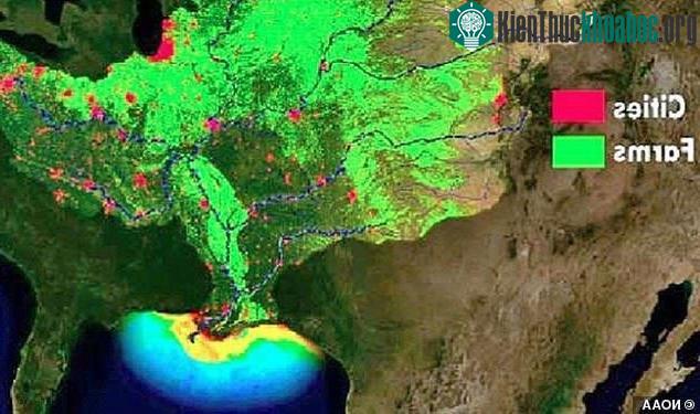 Lũ lụt lan rộng đã tạo ra một vùng chết lớn trên vịnh Mexico.