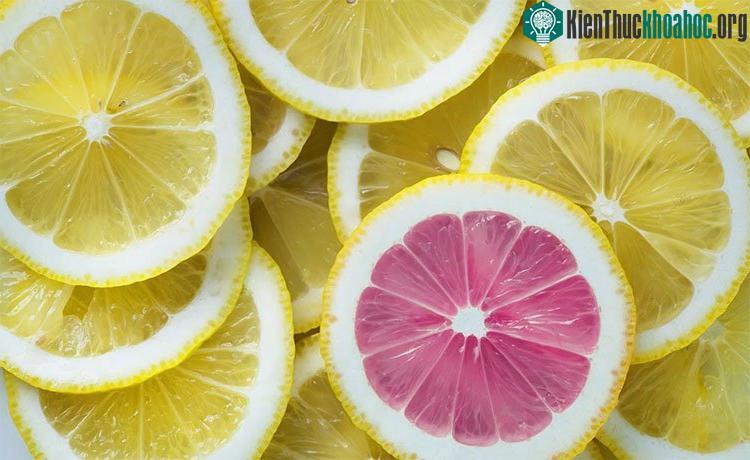 Vitamin C là chất rất cần thiết cho tất cả các sinh vật sống, đặc biệt đối với con người.