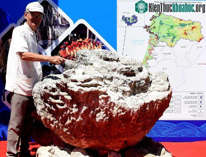 Khối san hô hóa thạch hình hoa hồng tại triển lãm. (Ảnh: M.Hoàng).