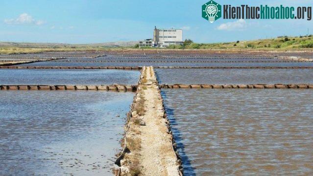 Nếu có phương pháp khử mặn nước, chúng ta sẽ có những nguồn nước ngọt khổng lồ từ các đại dương.