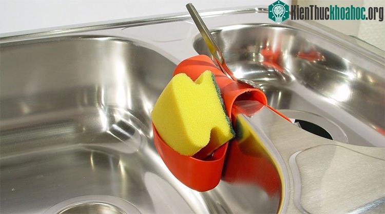 Một giẻ rửa bát có chứa mọi loại vi trùng khác nhau, trong đó có rất nhiều vi khuẩn.