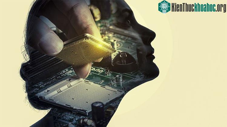 Có nhiều định nghĩa khác nhau về bẻ khóa sinh học.