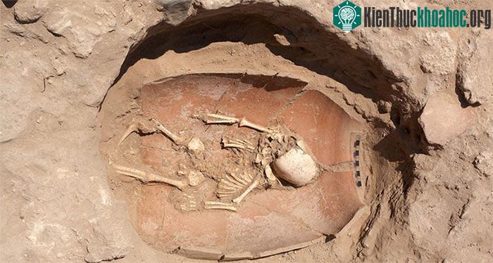 Hài cốt được cho là của người Philistines được chôn cất tại Ashkelon, một thành phố cảng Philitine cổ ở Israel.