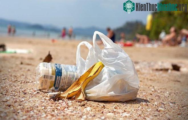 8 cách tái sử dụng túi nilon có lợi bạn nên áp dụng càng sớm càng tốt ảnh 0