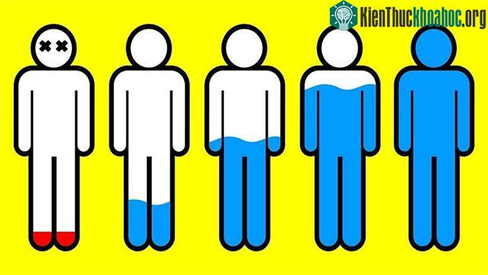 Khi mất nước, não của chúng ta sẽ phải làm việc vất vả hơn bình thường.