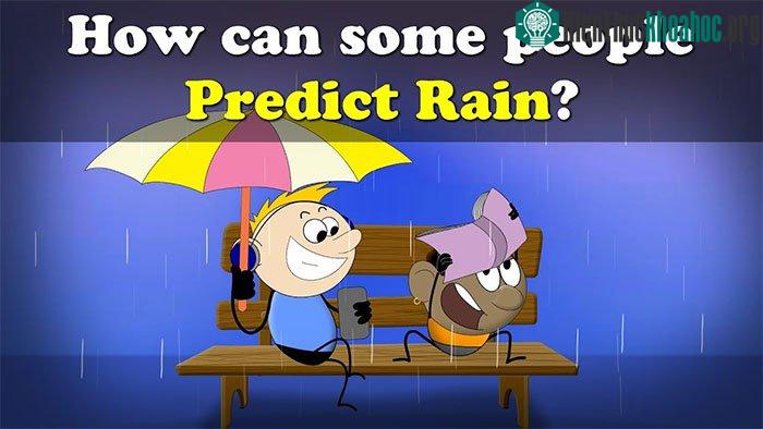 Khi một ai đó ngửi thấy mùi ozone, nó có thể giúp họ dự đoán mưa.