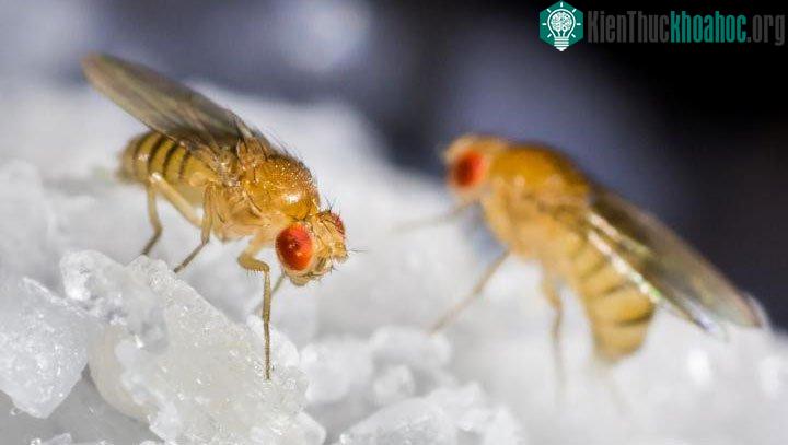 Tôi lạc quan giữa đám đông nhưng khi một mình thì lại không.