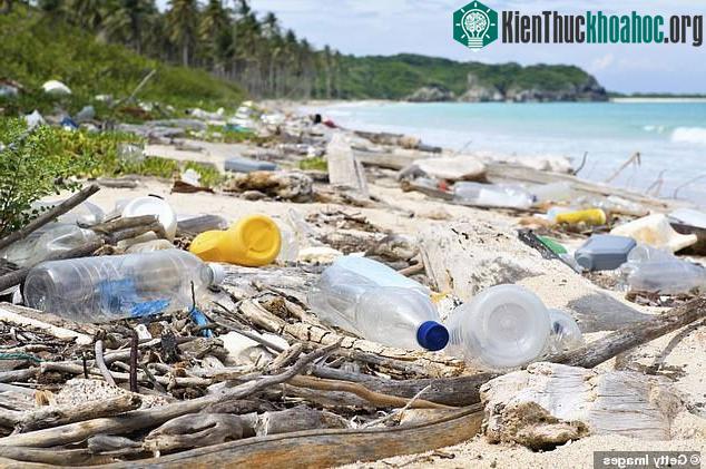 Rác thải nhựa dạt vào bờ.