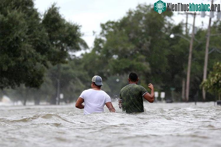 Cơn bão đầu tiên của mùa hè tại Mỹ gây mưa lớn ở các bang Louisiana và Missisippi khi tiến dần về phía bắc.