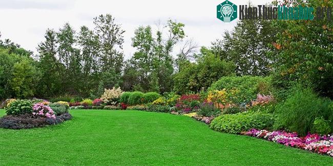 Khi tiếp xúc thụ động với cây xanh, chúng ta ít thèm đồ ăn vặt hơn.