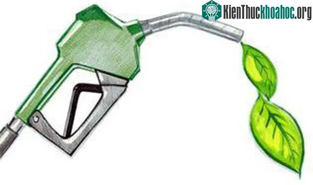 Nhiêu liệu sinh học low-carbon: Nhiều thân thiện môi trường ảnh 0