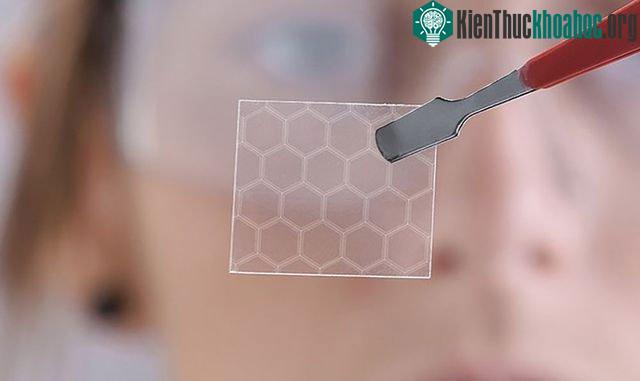 Vi khuẩn có thể hỗ trợ tạo ra siêu vật liệu Graphene với giá rẻ.