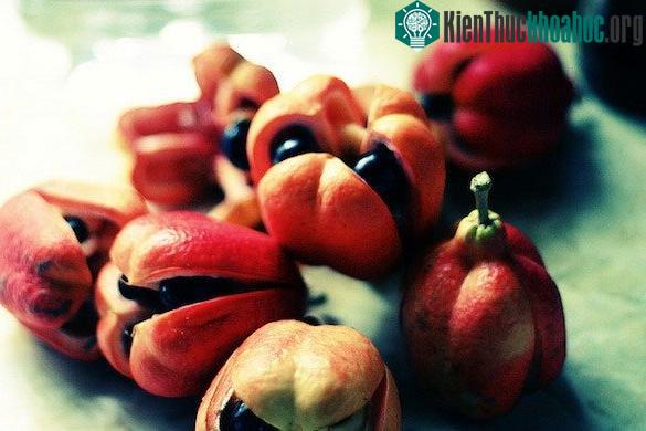 Ackee là một loại quả kỳ lạ.