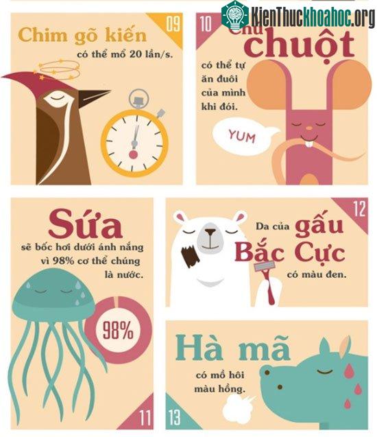 Những sự thật khiến bạn phải đau khổ vì chẳng biết gì về thế giới động vật ảnh 1