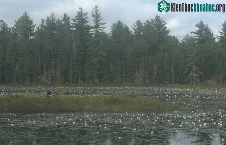 Công viên Algonquin ở Ontario (Canada)