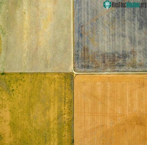 Rouse thường tới trang trại Palouse Farms ở phía đông Washington