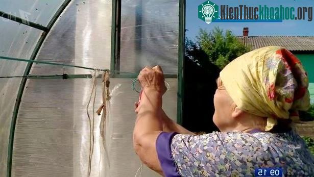 Dùng thuốc xịt cũng không hiệu quả vì quá nhiều ruồi