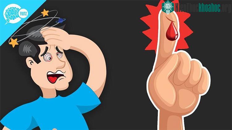 Xỉu khi thấy máu