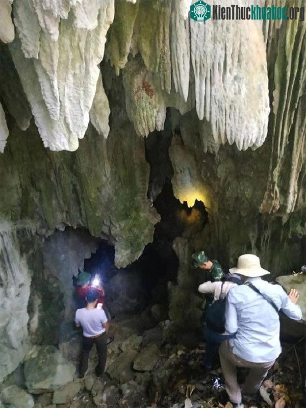 Đoàn khảo sát vào bên trong khám phá.